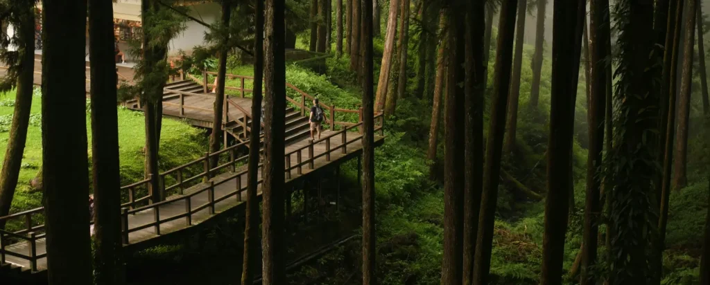 Alishan National Forest Recreation